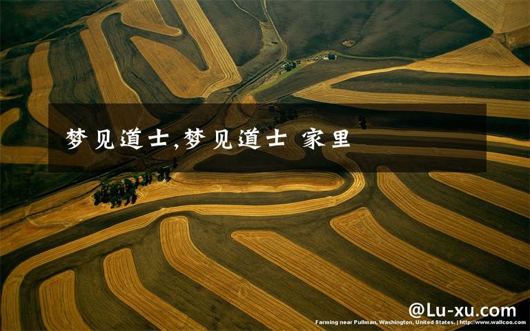 梦见道士,梦见道士 家里