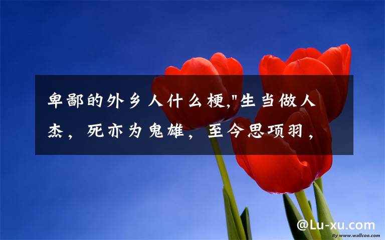 卑鄙的外乡人什么梗,