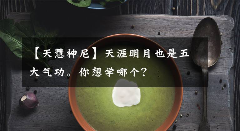 【天慧神尼】天涯明月也是五大气功。你想学哪个？