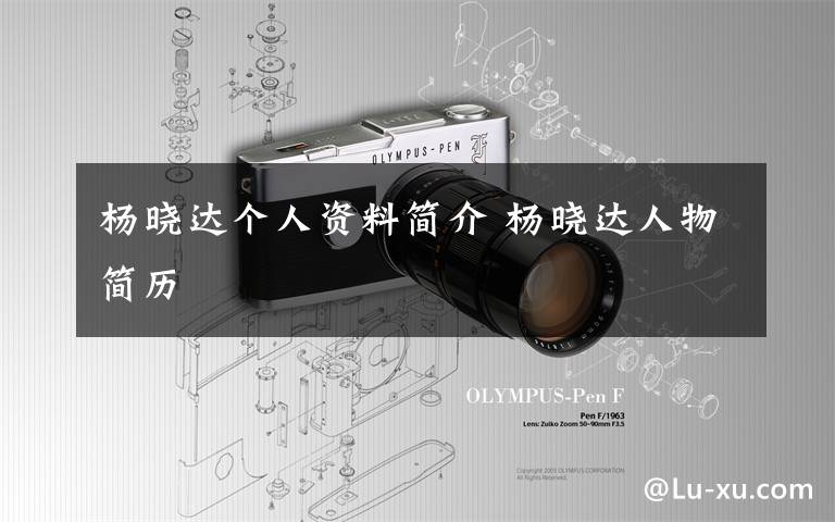 杨晓达个人资料简介 杨晓达人物简历