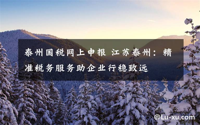 泰州国税网上申报 江苏泰州:精准税务服务助企业行稳致远