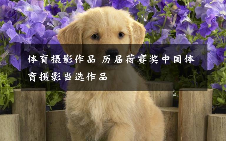 体育摄影作品 历届荷赛奖中国体育摄影当选作品