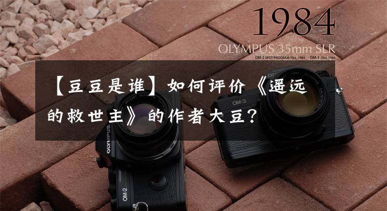 【豆豆是谁】如何评价《遥远的救世主》的作者大豆?
