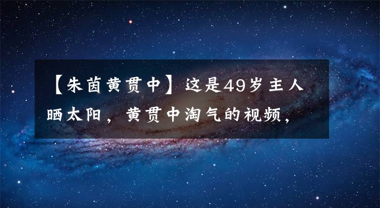 【朱茵黄贯中】这是49岁主人晒太阳,黄贯中淘气的视频,大秀恩爱,被丈夫宠爱,成为了“女王”