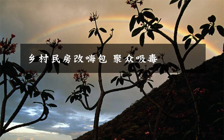 乡村民房改嗨包 聚众吸毒