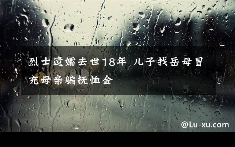烈士遗孀去世18年 儿子找岳母冒充母亲骗抚恤金