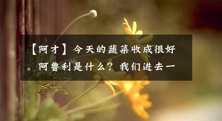 【阿才】今天的蔬菜收成很好。阿鲁利是什么？我们进去一起分享吧。