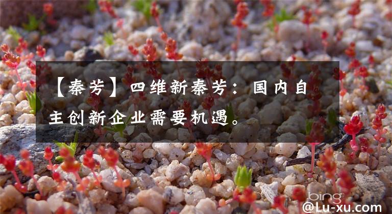 【秦芳】四维新秦芳:国内自主创新企业需要机遇。