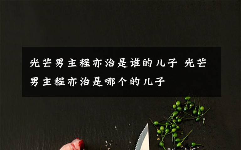 光芒男主程亦治是谁的儿子 光芒男主程亦治是哪个的儿子