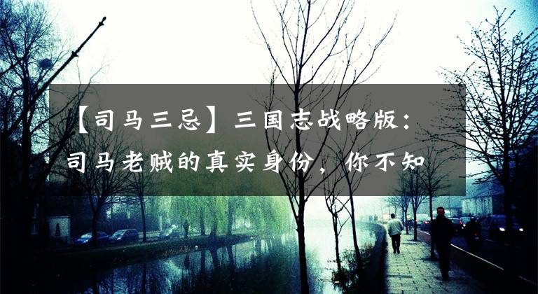 【司马三忌】三国志战略版：司马老贼的真实身份，你不知道的秘密，精彩万分