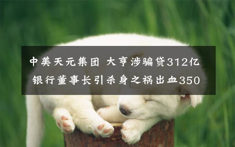 中美天元集团 大亨涉骗贷312亿 银行董事长引杀身之祸出血3500毫升近丧命
