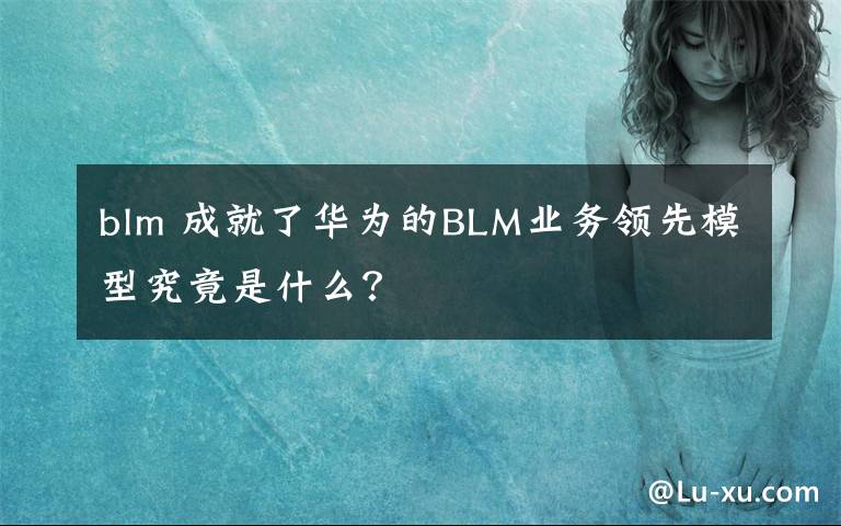 blm 成就了华为的BLM业务领先模型究竟是什么?