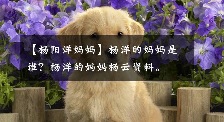 【杨阳洋妈妈】杨洋的妈妈是谁?杨洋的妈妈杨云资料。