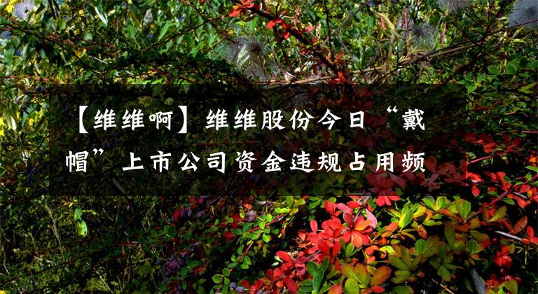 【维维啊】维维股份今日“戴帽”上市公司资金违规占用频发