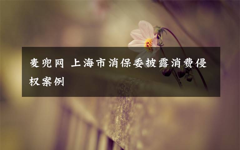 麦兜网 上海市消保委披露消费侵权案例