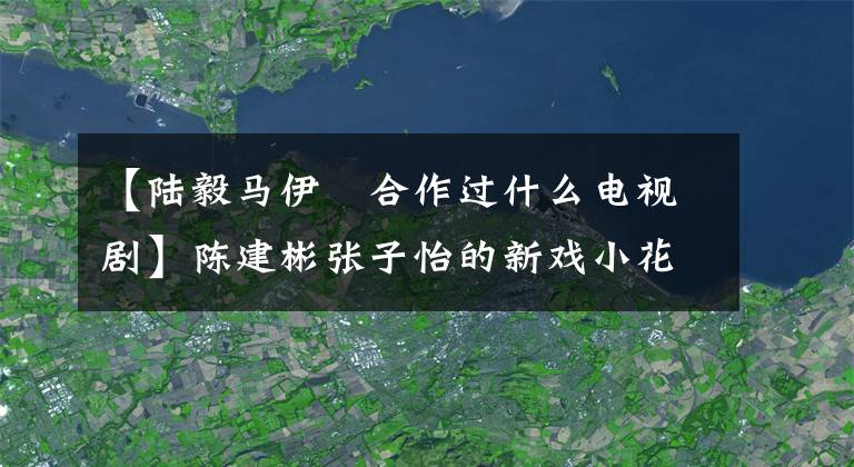 【陆毅马伊琍合作过什么电视剧】陈建彬张子怡的新戏小花，年龄差，叔叔和萝莉要火吗？