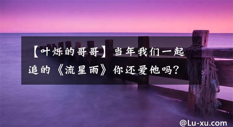 【叶烁的哥哥】当年我们一起追的《流星雨》你还爱他吗?