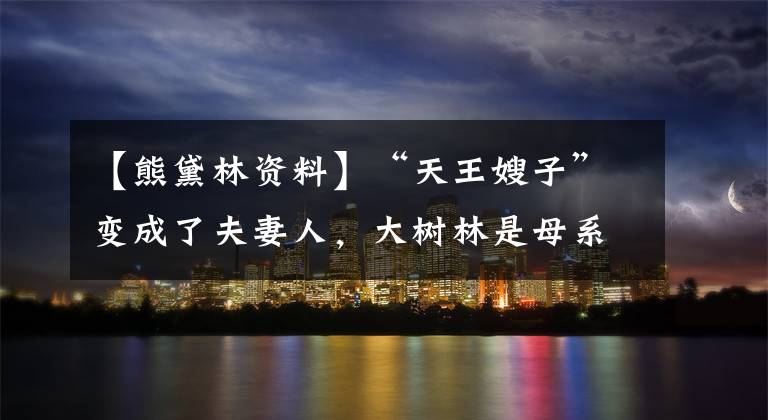 【熊黛林资料】“天王嫂子”变成了夫妻人,大树林是母系贵三第一吗?