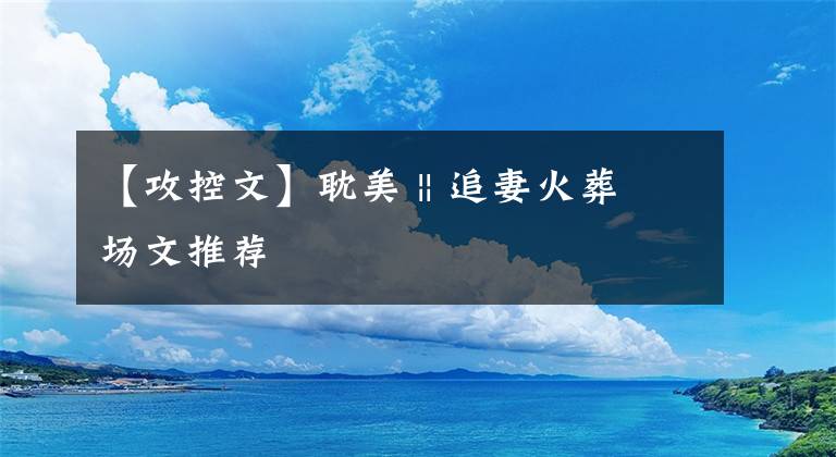 【攻控文】耽美 || 追妻火葬场文推荐