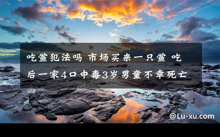 吃鲎犯法吗 市场买来一只鲎 吃后一家4口中毒3岁男童不幸死亡