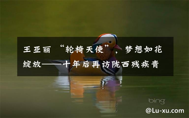 王亚丽 “轮椅天使”,梦想如花绽放——十年后再访陇西残疾青年王亚丽