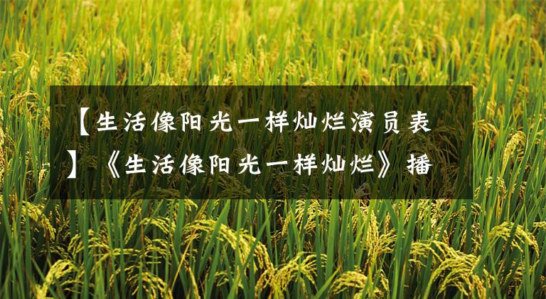 【生活像阳光一样灿烂演员表】《生活像阳光一样灿烂》播出，丁克女性白领松子楚莫泰元洪