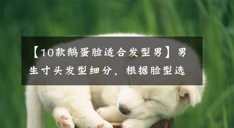 【10款鹅蛋脸适合发型男】男生寸头发型细分，根据脸型选择适合自己的寸头，瞬间小霸王帅气有气质。