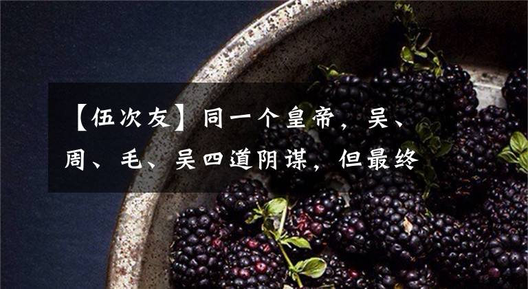 【伍次友】同一个皇帝,吴、周、毛、吴四道阴谋,但最终可以走同一条路