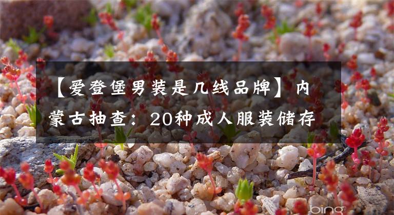 【爱登堡男装是几线品牌】内蒙古抽查:20种成人服装储存质量问题包括佩雷宾利、伊甸堡等商标。