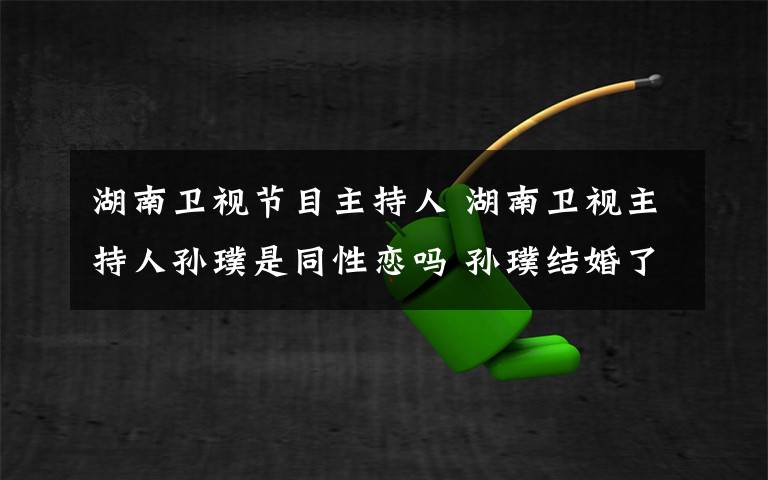 湖南卫视节目主持人 湖南卫视主持人孙璞是同性恋吗 孙璞结婚了吗老婆是谁