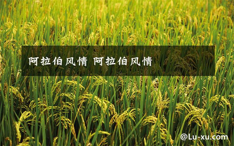 阿拉伯风情 阿拉伯风情