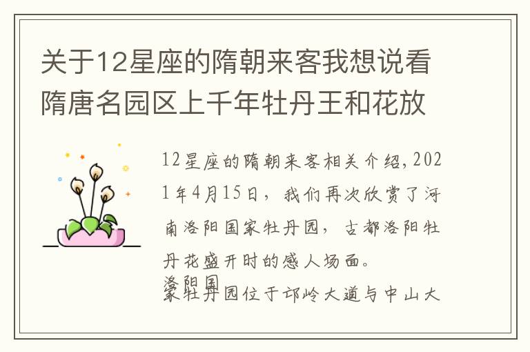 关于12星座的隋朝来客我想说看隋唐名园区上千年牡丹王和花放,在国家牡丹园的探花之旅真好
