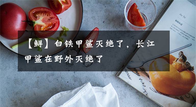 【鲟】白铁甲鲨灭绝了，长江甲鲨在野外灭绝了