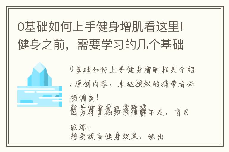 0基础如何上手健身增肌看这里!健身之前,需要学习的几个基础知识,让你更加高效地锻炼