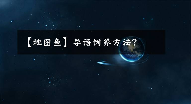 【地图鱼】导语饲养方法？