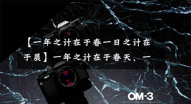 【一年之计在于春一日之计在于晨】一年之计在于春天，一天之计在于黎明，一生之计在于勤奋