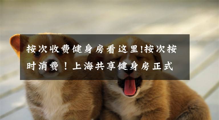 按次收费健身房看这里!按次按时消费!上海共享健身房正式开放,最低两元每小时