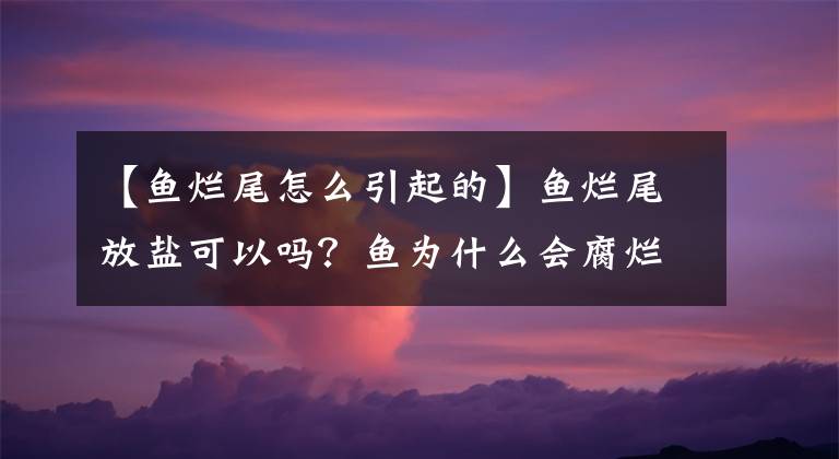 【鱼烂尾怎么引起的】鱼烂尾放盐可以吗？鱼为什么会腐烂？