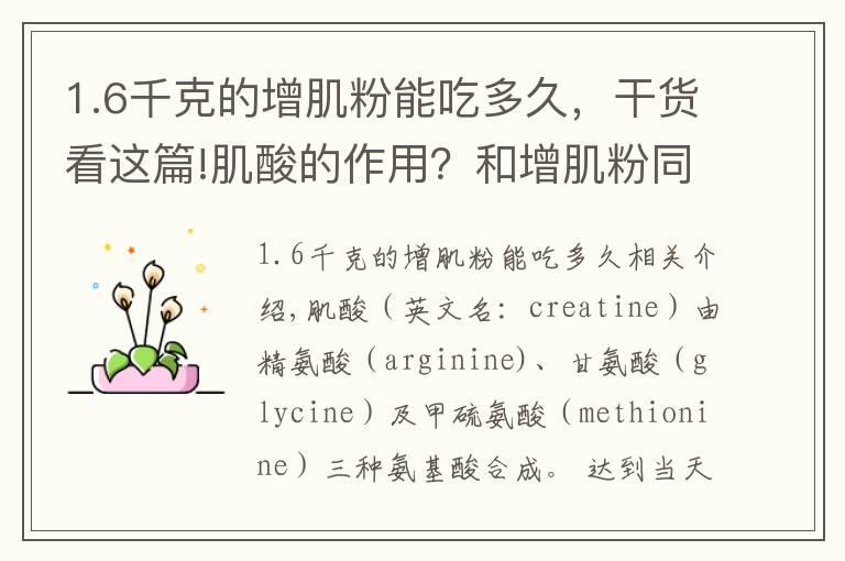 1.6千克的增肌粉能吃多久,干货看这篇!肌酸的作用?和增肌粉同时吃的话,具体怎么吃?