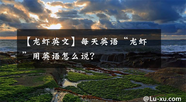 【龙虾英文】每天英语“龙虾”用英语怎么说？