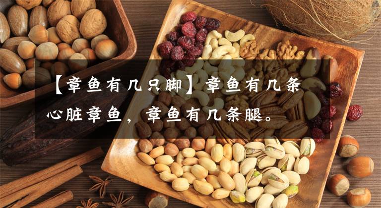 【章鱼有几只脚】章鱼有几条心脏章鱼，章鱼有几条腿。