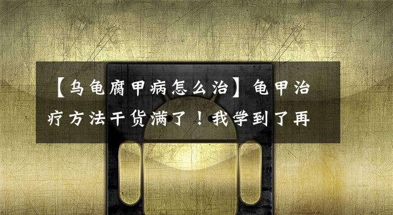 【乌龟腐甲病怎么治】龟甲治疗方法干货满了！我学到了再也不用担心乌龟的烂甲了。