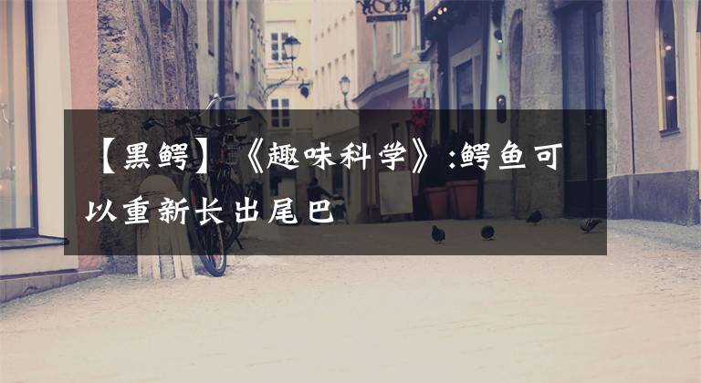 【黑鳄】《趣味科学》:鳄鱼可以重新长出尾巴