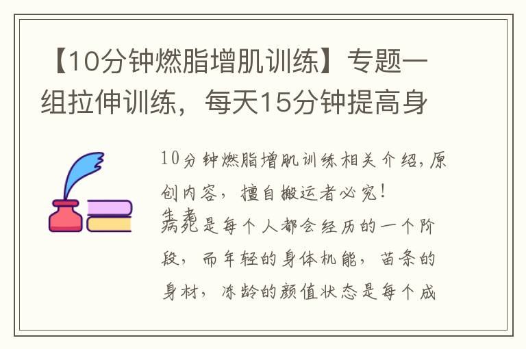 【10分钟燃脂增肌训练】专题一组拉伸训练,每天15分钟提高身体柔软度,远离亚健康疾病