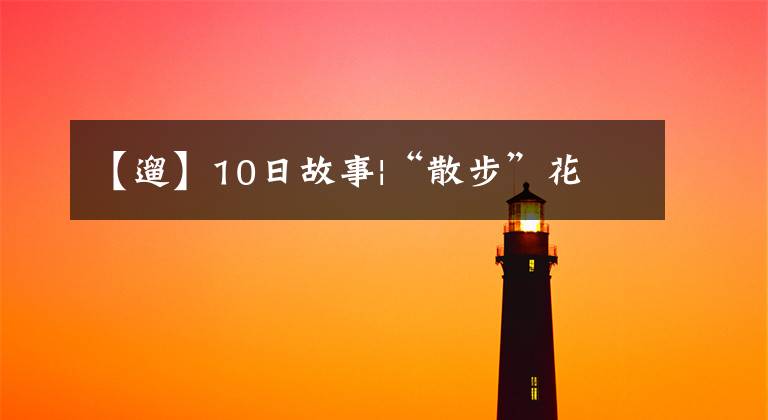 【遛】10日故事|“散步”花