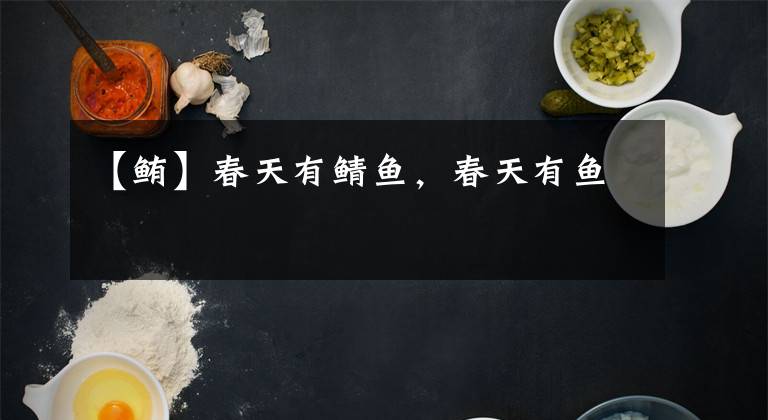 【鲔】春天有鲭鱼,春天有鱼