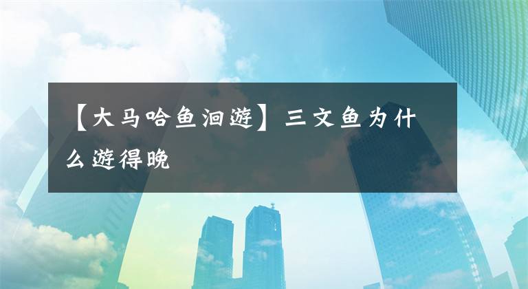 【大马哈鱼洄游】三文鱼为什么游得晚