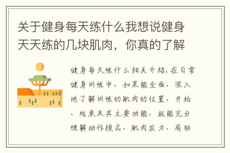 关于健身每天练什么我想说健身天天练的几块肌肉,你真的了解?