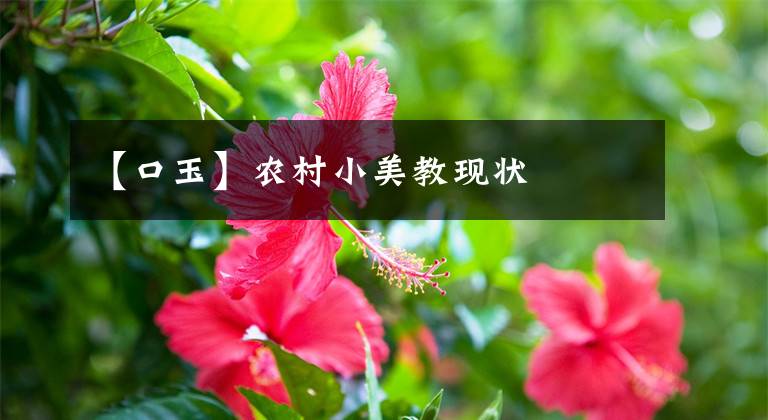 【口玉】农村小美教现状