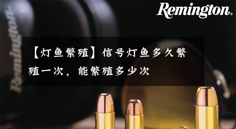 【灯鱼繁殖】信号灯鱼多久繁殖一次，能繁殖多少次